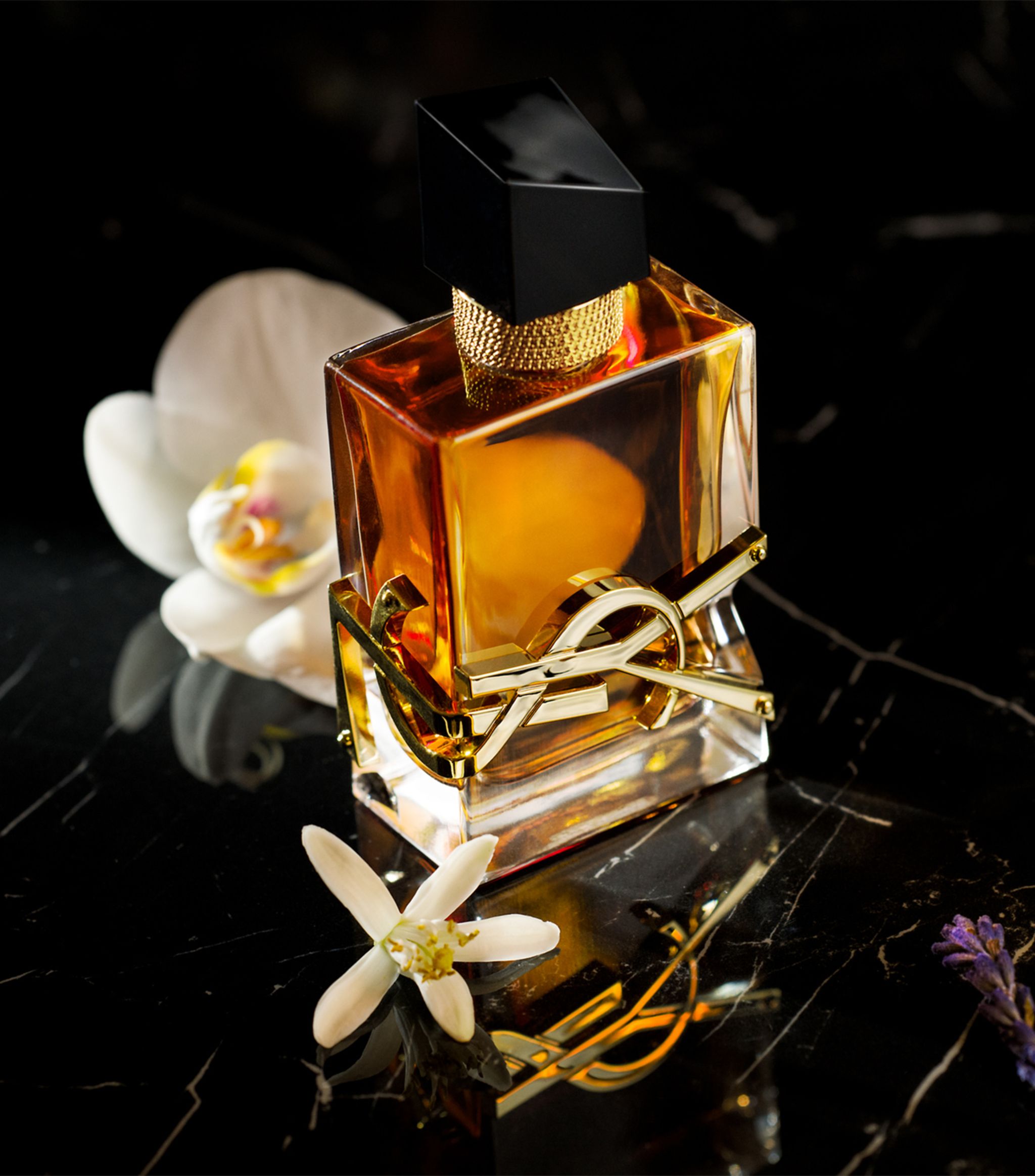 Libre Élexir Sample